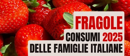 Fragole in Italia 2025: mercato in crescita su tutti i principali fondamentali, tra più famiglie acquirenti, più volumi e valore record-image