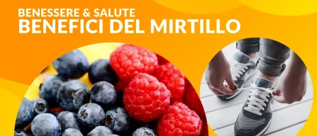 Mirtillo: nuove prospettive scientifiche sui benefici per la salute nel mondo dei frutti di bosco-image