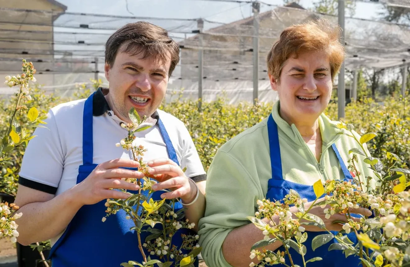 Inclusive Blueberry Team in Cesano Boscone: work, nature and autonomy for people with disabilities-image