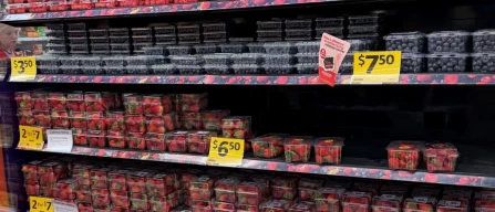 The berry category in Australia: a comparison of four retailers-image