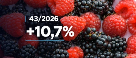 Berries in Italy: raspberry prices up 10% in week 43/2026-image