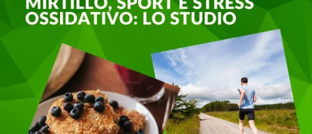 Mirtillo e sport: frutti di bosco alleati contro lo stress ossidativo-image