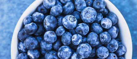 Agronometrics: Perù verso record esportazioni di mirtilli-image