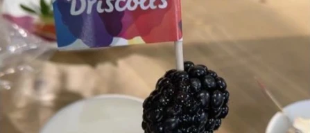 Strawberries with Tajin and blackberries with cheese: Driscoll’s savory trend in Berlin-image