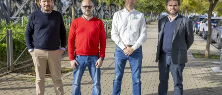 Huelva strawberries: too many varieties risk productivity and demand stricter breeding-image