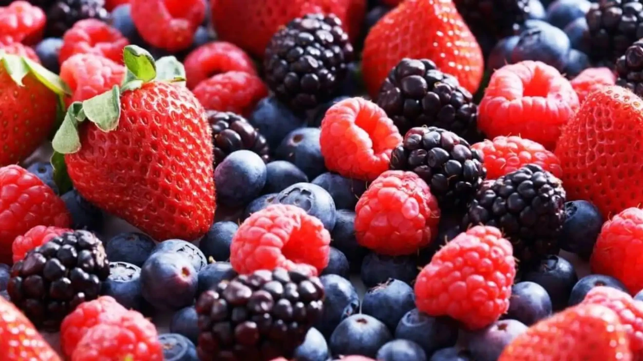 Huelva boosts berry crops: in 2026 more hectares for strawberries and other berries cultivation-image