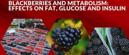 Blackberries and metabolism: what really happens to fat, blood sugar and insulin sensitivity-image