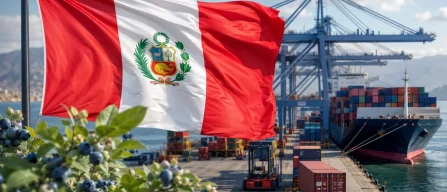 Peru ends the 2025/26 blueberry season up 20%: the exporter rankings-image