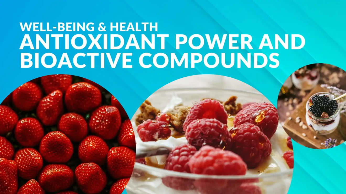 Berries and wellness: antioxidant power, bioactive compounds and optimal preservation for health benefits-image