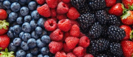 Vendite record per i frutti di bosco UK nel 2025-image