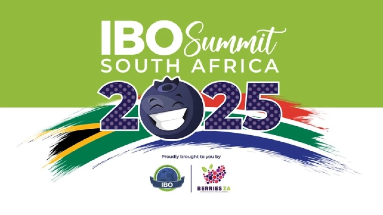 Cape Town ospita l’IBO Summit 2025: il Sudafrica al centro dell’industria globale dei mirtilli-image