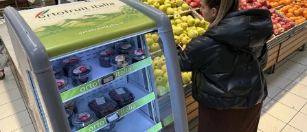 Padova, piccoli frutti in Gdo: lamponi e ribes scarsi spingono i prezzi mentre i mirtilli restano leader-image