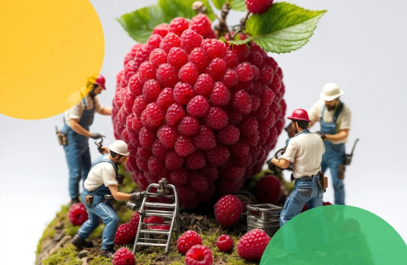 Italian Berry Magazine no. 9: growing trend in the berry market-image
