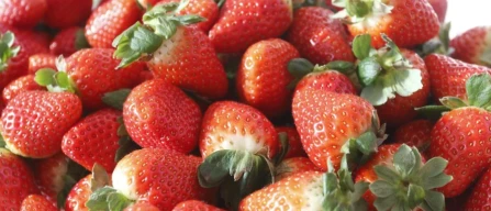 Huelva strawberries Spain: rising supply before Easter with promotions and variable prices-image