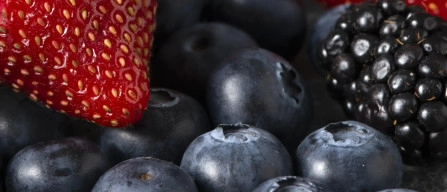 Italian online berries week 9/2026: blueberries +6.9% and retail prices up-image