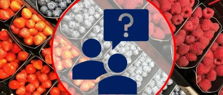 Beyond the 125g format: how blueberries are growing towards segmentation in Italy-image