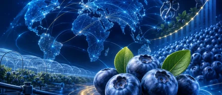 Presentato l'IBO Report 2026: crescono volumi e qualità mentre pesa l'incertezza El Niño-image