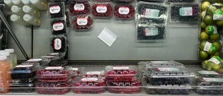 Padua (Italy): high quality and reasonable prices for berries in week 04/2025-image