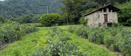Il segreto della Valle Blu tra territorio e innovazione-image