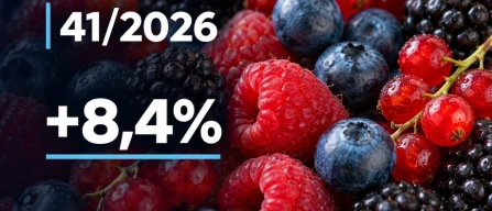 Italian online berry prices: redcurrants surge 8.4%, raspberries decline in week 41/2026-image