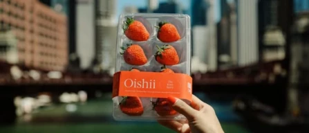 Oishii brings premium Japanese strawberries to Canada-image