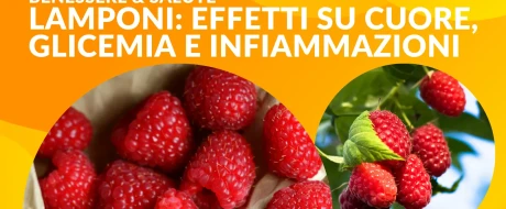 Lamponi: effetti su cuore, glicemia e infiammazioni
