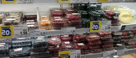 Piacenza berries: Peruvian blueberries dominate and Moroccan raspberries-image