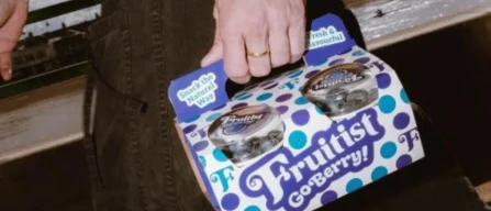 Fruitist porta i mirtilli nel formato multipack 4×150 g-image