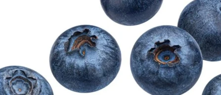USHBC’s Blueberry Boost Accelerator launches in U.S.-image