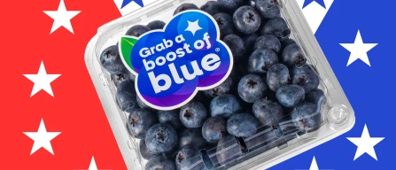 Blueberry consumption in the US continues to grow-image
