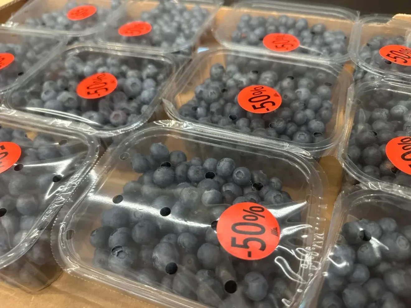 Ukraine blueberry prices hit new lows amid poor yields-image