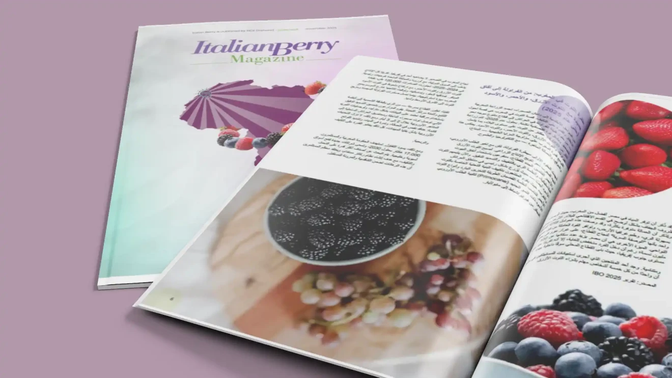 Italian Berry Magazine – Morocco Berry Conference Edition: un viaggio nell’Africa che guida il futuro dei berries-image