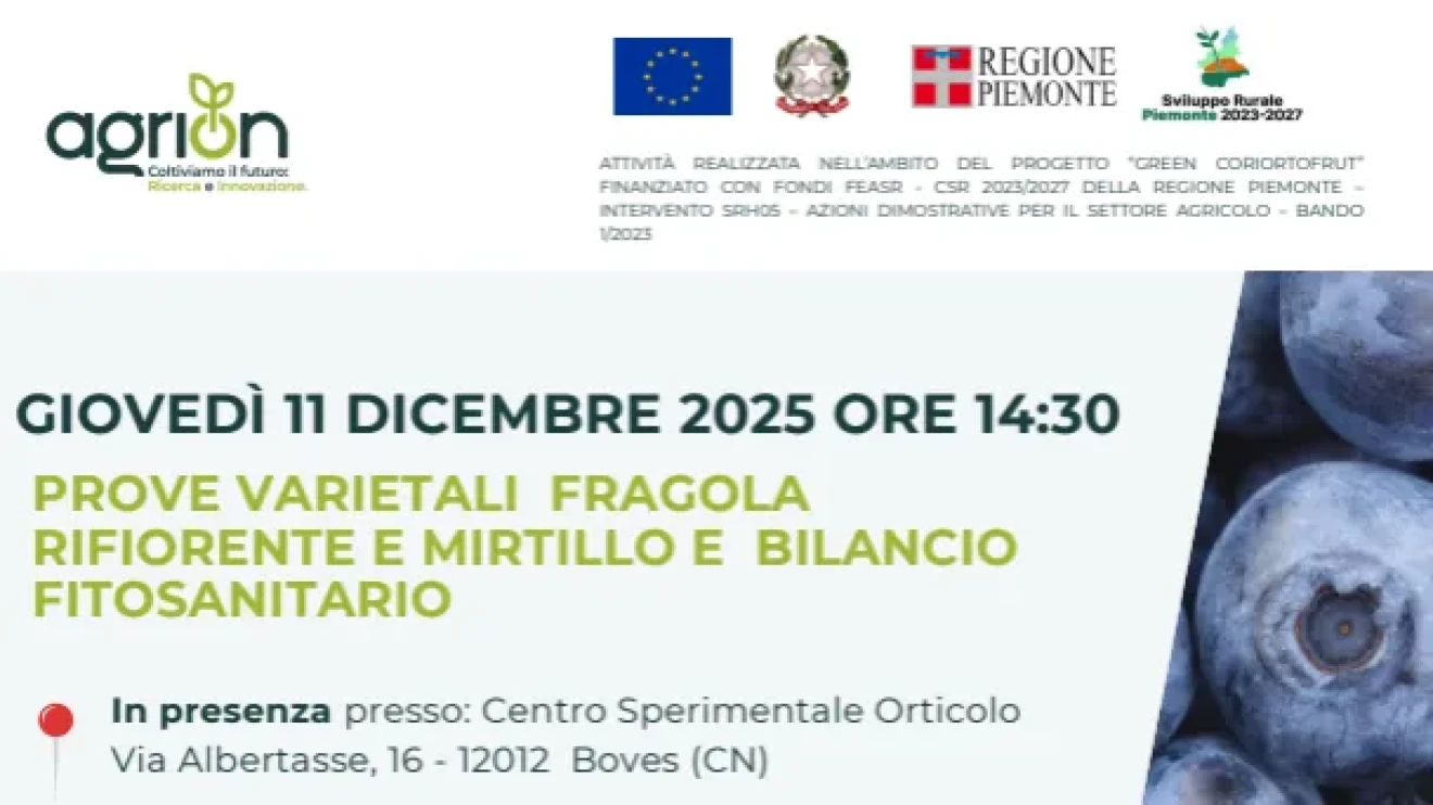 Prove varietali mirtillo e fragola rifiorente Agrion-image