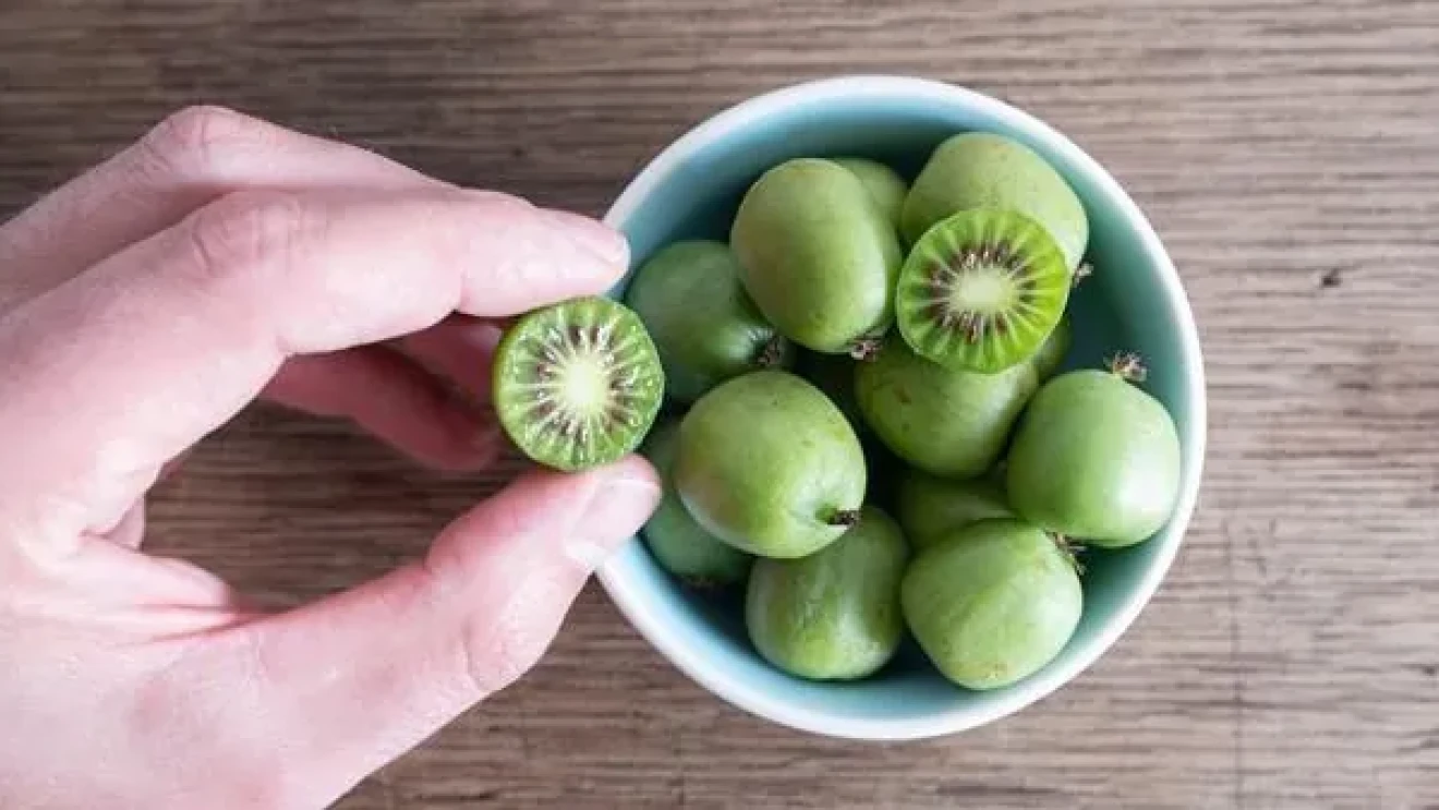 Kiwi berry: lo snack salutare perfetto per l’estate con grandi potenzialità nei supermercati in Germania-image