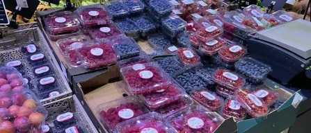 Berries in retail stores in Milan: raspberries down, blueberries from Peru, blackberries overpriced and weak-image