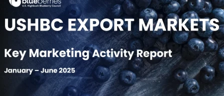 USHBC Report: +55% export mirtilli USA in Corea del Sud-image