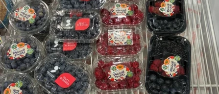 GDO Piacenza: corsa al ribasso per mirtilli, ribes resta caro e lamponi tengono-image