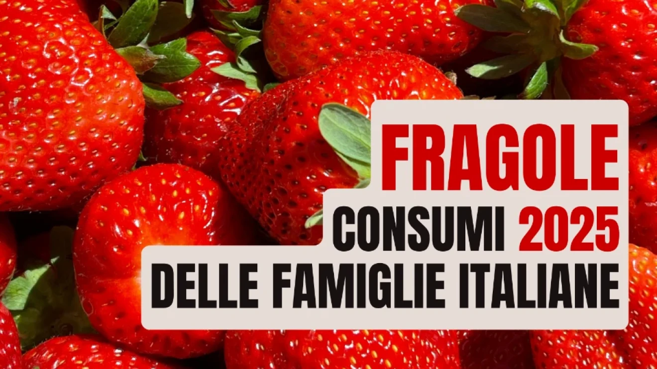 Fragole in Italia 2025: mercato in crescita su tutti i principali fondamentali, tra più famiglie acquirenti, più volumi e valore record-image