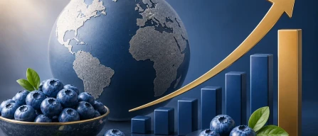 Blueberries, overall price index for week 20/2026: premium segment +10%-image