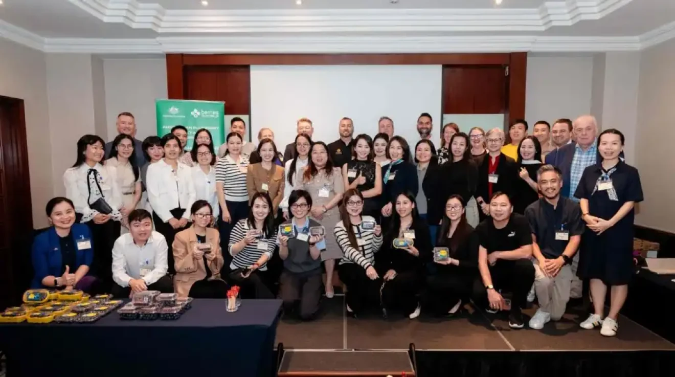 Australia bets on blueberries: production tripled in ten years-image