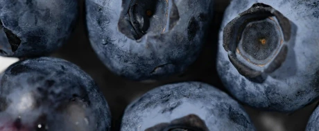 Challenges and techniques in blueberry production forecasting