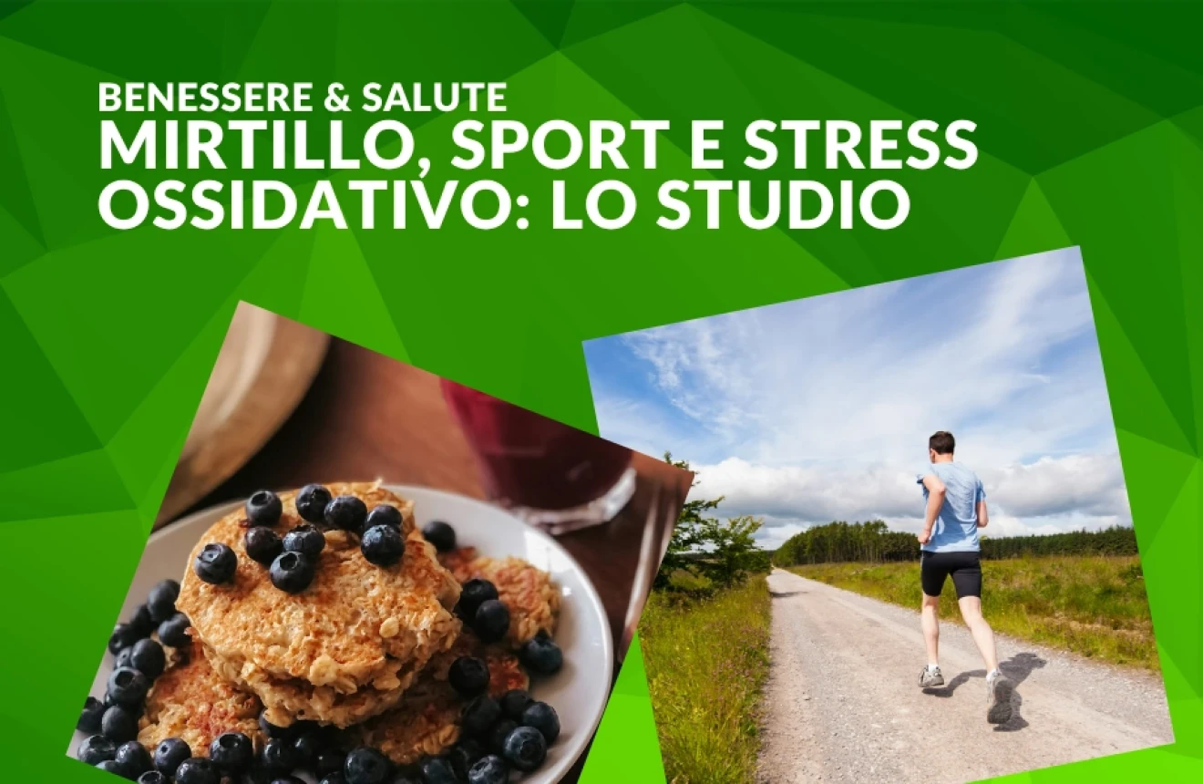 Mirtillo e sport: frutti di bosco alleati contro lo stress ossidativo-image