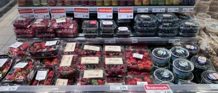 Berry prices surge in Piacenza (Italy) as blueberries rise and raspberries disappear from supermarket shelves-image