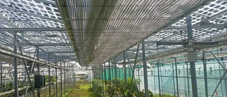 Agrivoltaico: Insolight presenta le sue soluzioni innovative in una serie di convegni in Italia-image