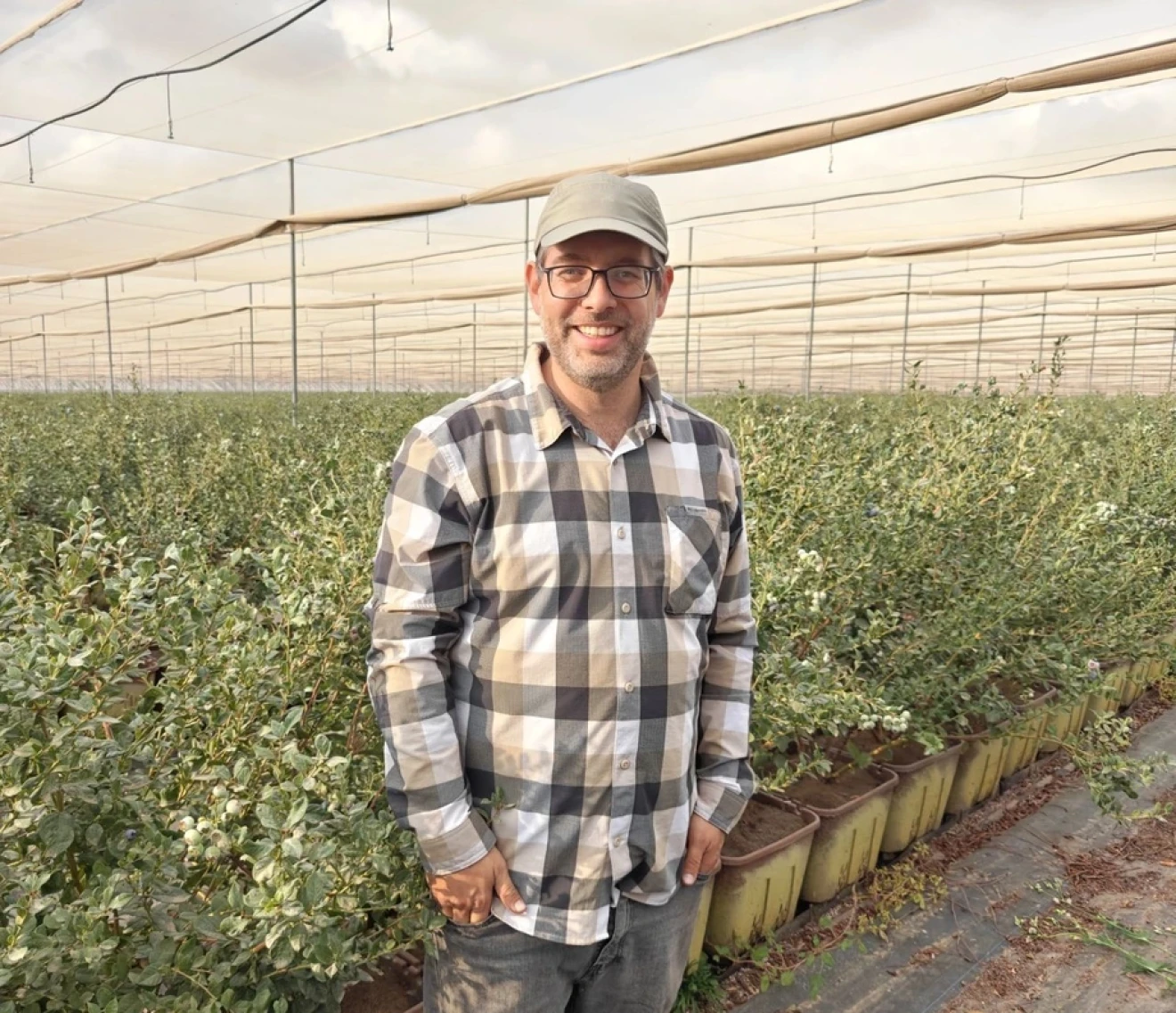 Il futuro del mirtillo italiano: sopravvivenza o rilancio? Le sfide globali a Macfrut 2026-image