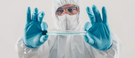 L’FDA emette un richiamo di livello massimo per i mirtilli Alma Pak a causa del rischio di Listeria-image
