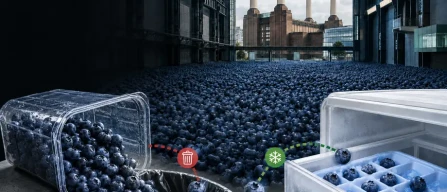 Nel Regno Unito finiscono nella spazzatura 12.000 tonnellate di mirtilli ogni anno-image