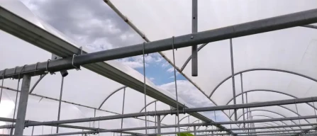 Summer growth in plastic greenhouses: remove the limiting factor first-image