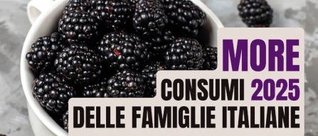 More in Italia 2025: crescono compratori e valore, ma si indebolisce l’intensità d’acquisto-image