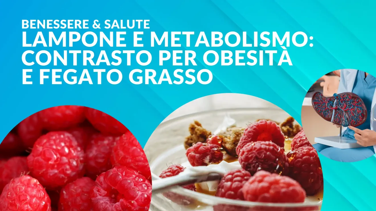 Raspberry and metabolism: natural aromatic compounds against obesity and fatty liver disease-image